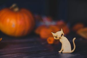 Read more about the article Über 50 Halloween-inspirierte Katzennamen, die den Miau-zauberhaften Zauber entfesseln