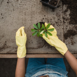 8 exklusive Geschenke für Gartenliebhaber, der Gartenbau liebt