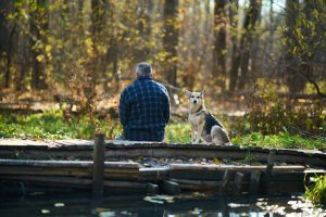 Read more about the article 13 Vatertagsgeschenk von Hund – Er wird schockiert sein, seine Geschenke zu sehen