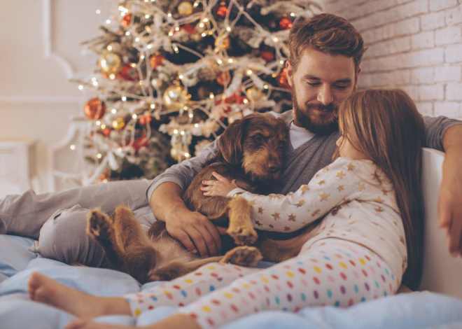 Jahreswechsel 2026 mit Haustieren feiern: Der vollständige Leitfaden für eine ruhige Nacht