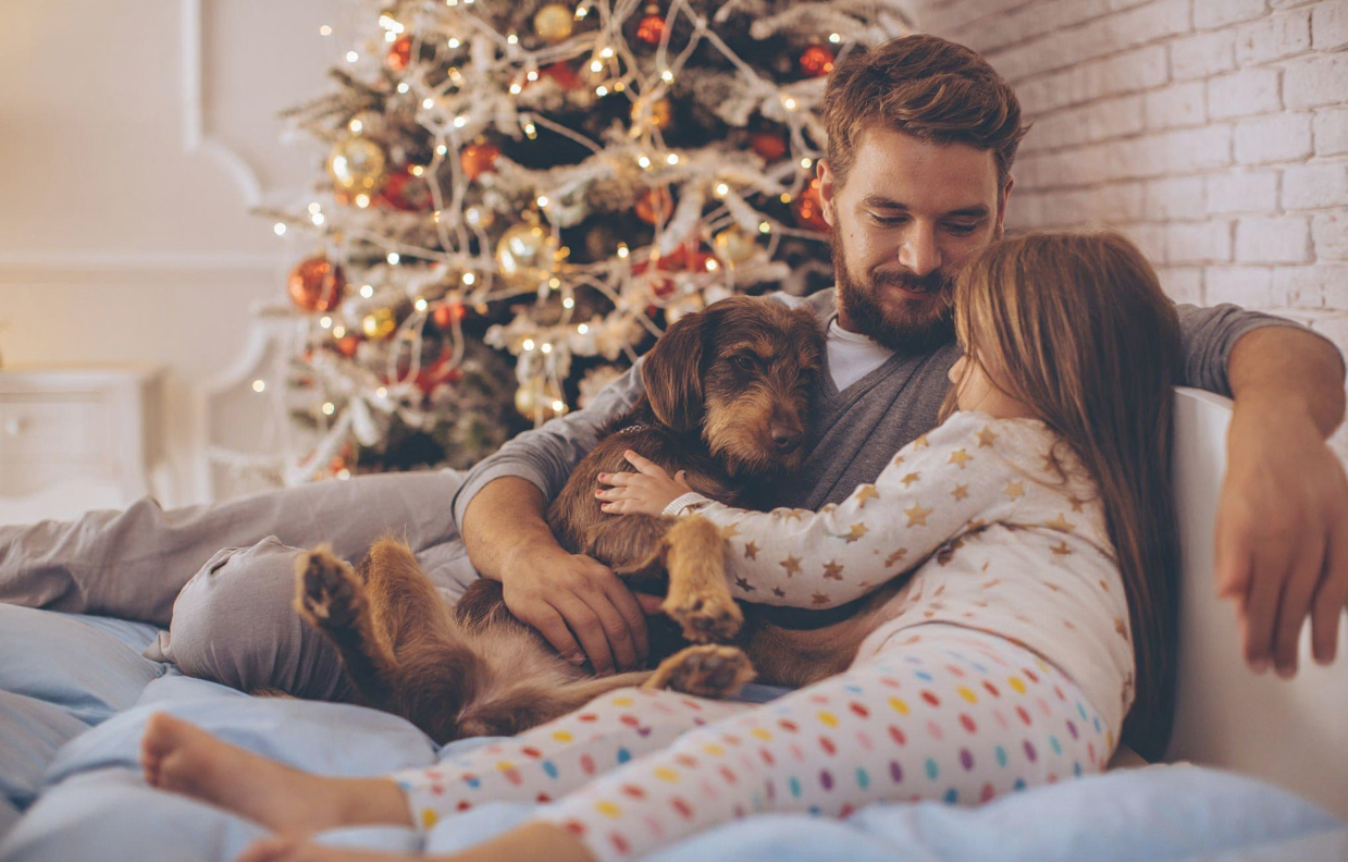 Jahreswechsel 2026 mit Haustieren feiern: Der vollständige Leitfaden für eine ruhige Nacht