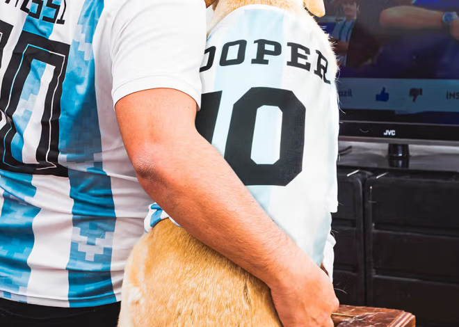Personalisiertes Fußballtrikot für Hunde und Katzen mit Namen & Nummer: Leichtes Baumwoll-Shirt für Haustiere in 30 Vereinsdesigns