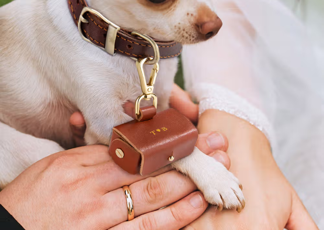 Personalisierte Leder Ringträger-Tasche für das Hundehalsband mit Initialen und Gravur: Romantischer Begleiter für die Traumhochzeit