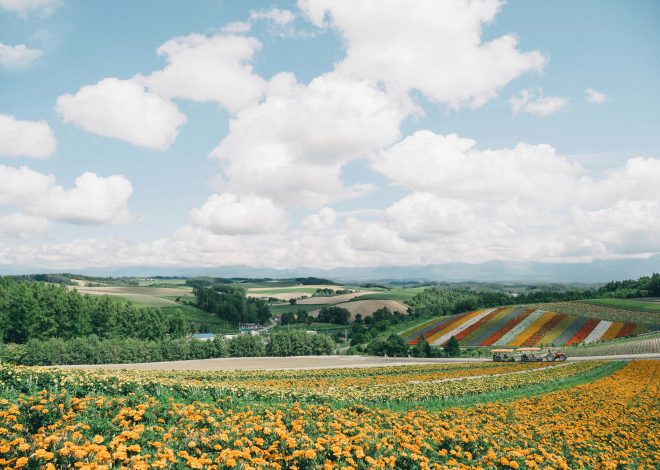 85 schöne August Sprüche und Zitate: Inspiriende Worte für den Spätsommer