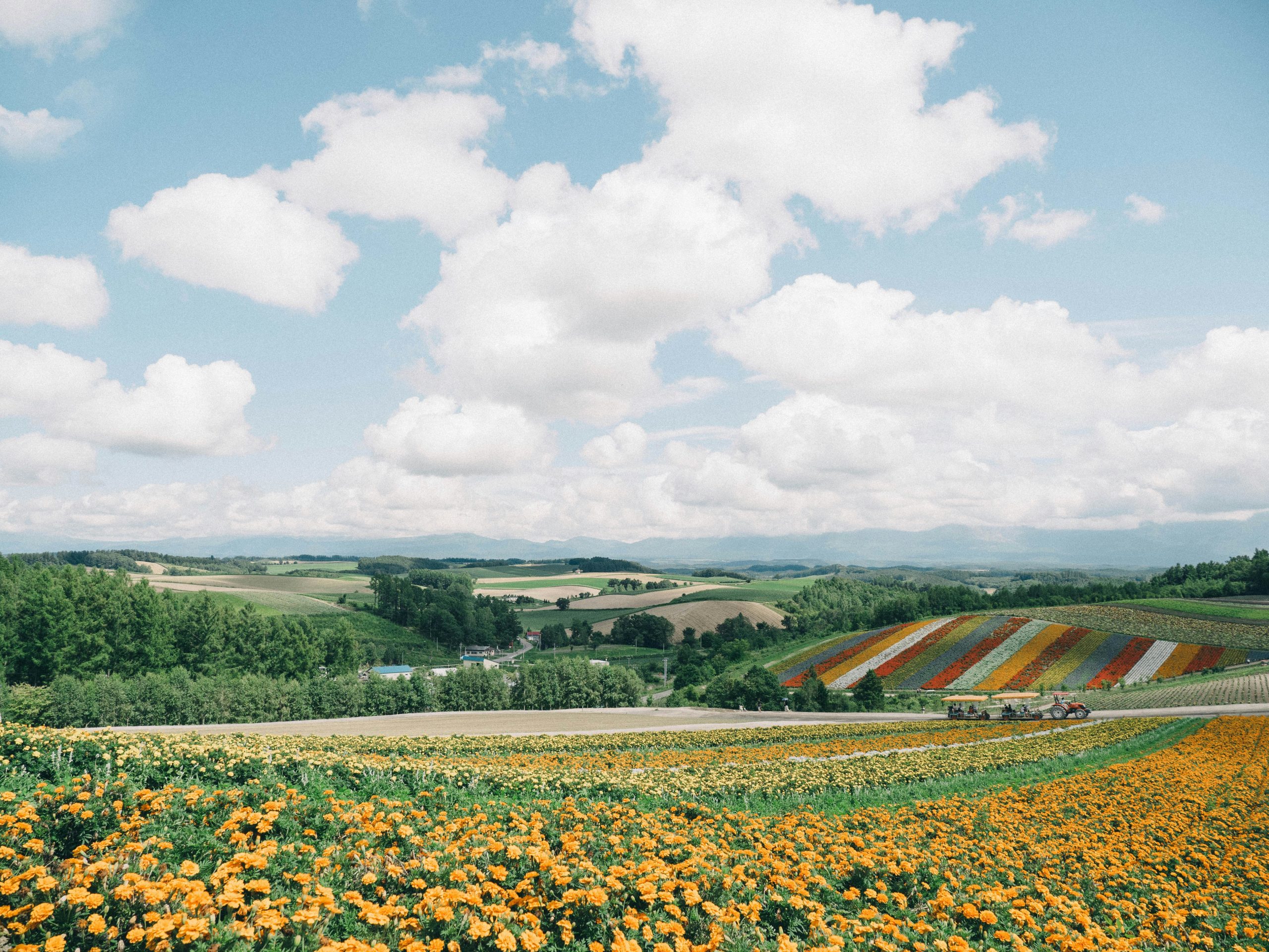 85 schöne August Sprüche und Zitate: Inspiriende Worte für den Spätsommer