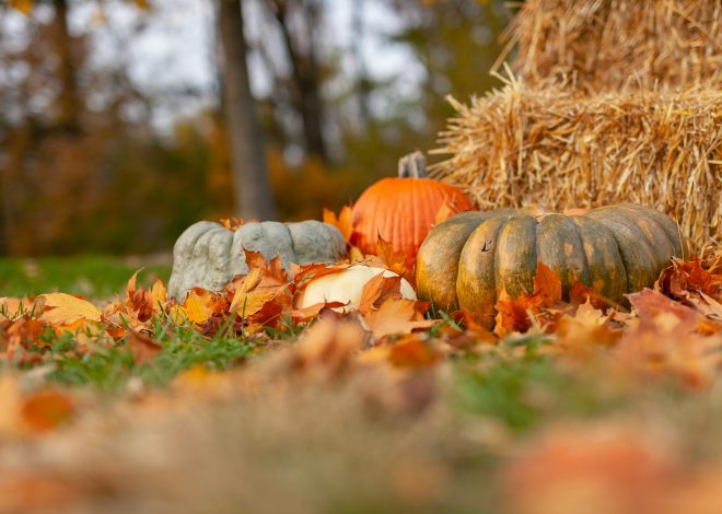 60 Oktober Sprüche: Schöne Worte für den goldenen Herbst